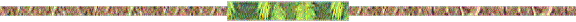 Divider