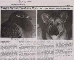 Heidi Jane makes headlines once again!