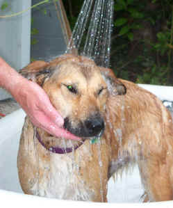 Bath time