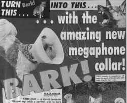 BARK!