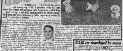 Bark! The article.