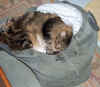 Cousin Pat in the laundry bag.