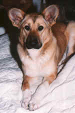Heidi