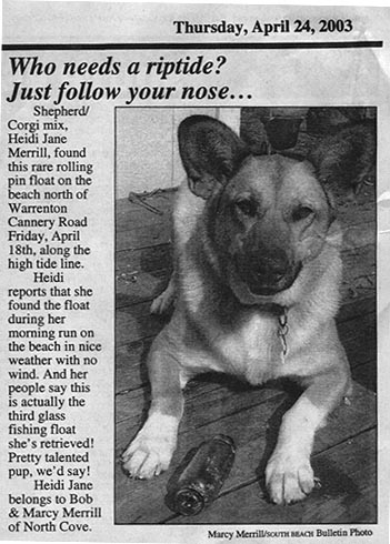 Heidi in the news!