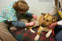 HJ gets her stitches out.
