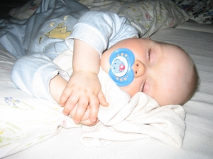 Petri taking a nap.
