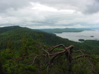 View at Koli