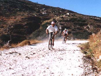 Staubbiker