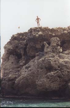 cliffspringer