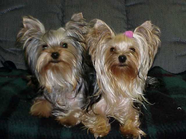 Hendrix and Teke