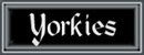 Hekan Yorkies