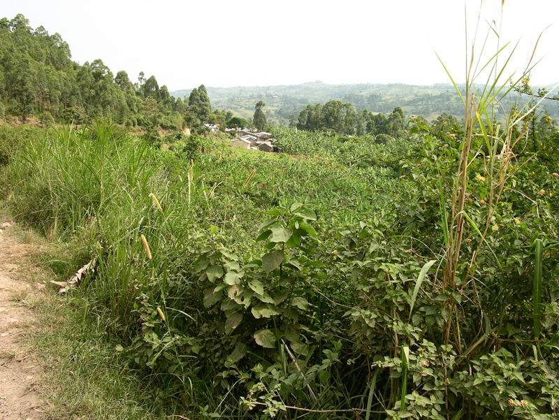 Img0225