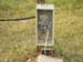 Electric security