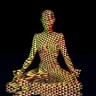 Lady Lotus