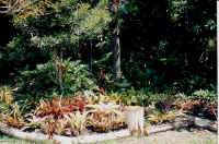 birdbath_ob.jpg (39690 bytes)