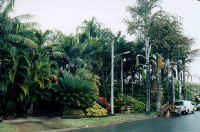dennis_gardens.jpg (30340 bytes)