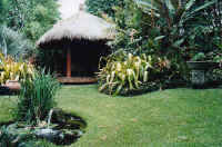 pavilion_pond_d.jpg (37948 bytes)