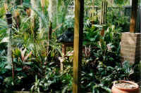 pavilion view.jpg (207955 bytes)