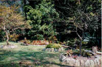 round_beds_ob.jpg (43687 bytes)