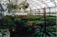 shadehouse.jpg (34127 bytes)