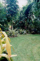 sunny_garden1_d.jpg (37049 bytes)