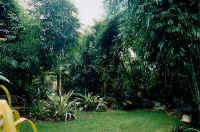 sunny_garden_d.jpg (35698 bytes)