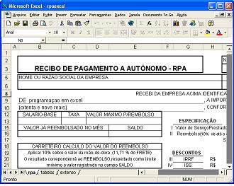 rpaexcel.jpg (30005 bytes)