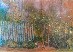 Cottage Garden Heide
