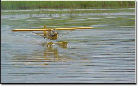 Doug Grewar's Cub trying for a take off ! !