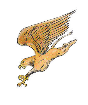 griffin