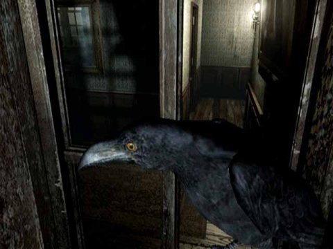 Infernal Crow