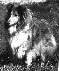 Pamparix McEttie