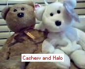.:.cAsHeW 'n HaLo.:.