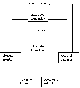 Text Box: Executive committee
