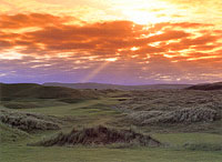 BALLYLIFFIN GOLF CLUB - OFFICIAL SITE