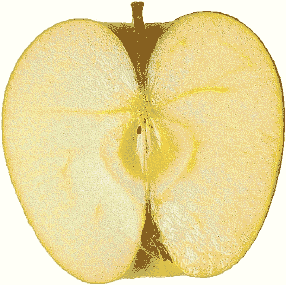 Transparent Image