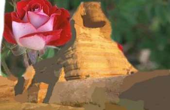 The Sphynx as a jpg Image