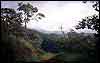 Way to Hebbe Falls, Kemmangundi, Chickmagalur Dist.
