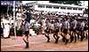 Independence Day Parade