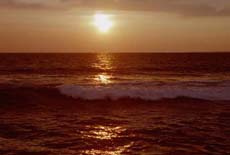 Experience the beuty of the sunset in Sri Lanka... click to visit http://www.infor.lk