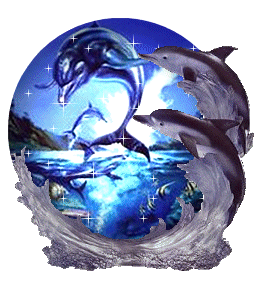 dolphin