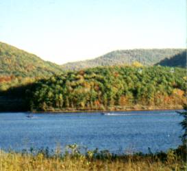 lakepic2.jpg - 11751 Bytes