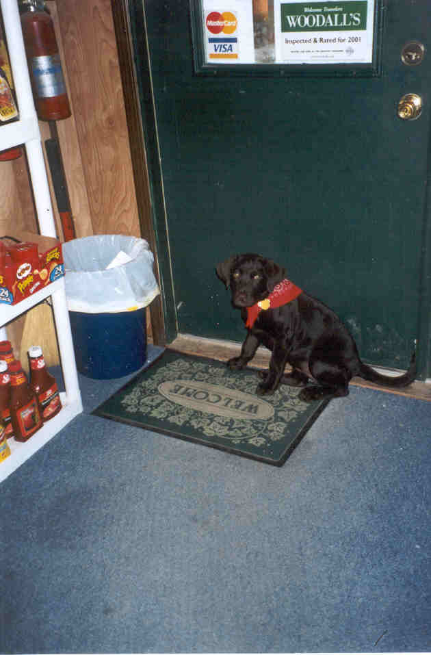 petswelcome.jpg - 43328 Bytes