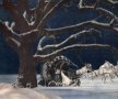Solstice Page