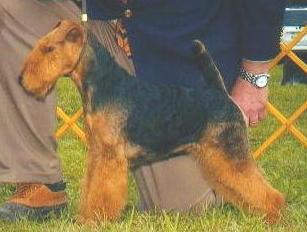 K-See Win at Devon 2003