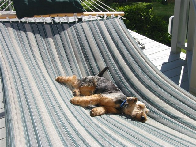 Snowdon - Life is Tough!
