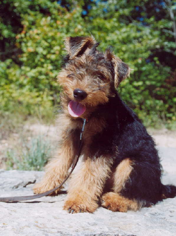 duncan