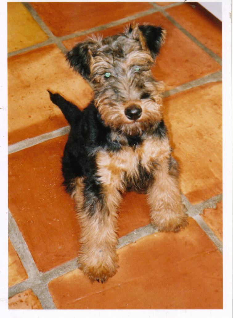 Lily-5mths