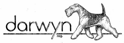 Darwyn Logo
