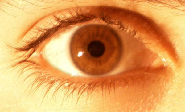 ojo.jpg (57337 bytes)